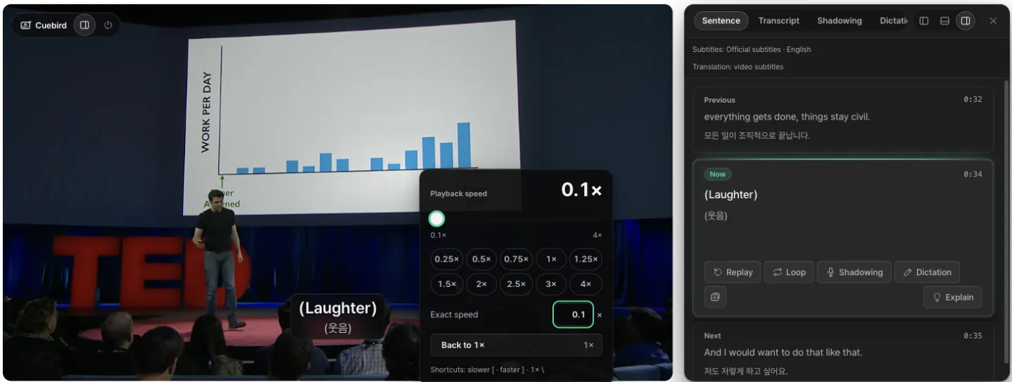 Playback speed popover set to 0.1×, with presets from 0.25× to 4× and an exact speed field